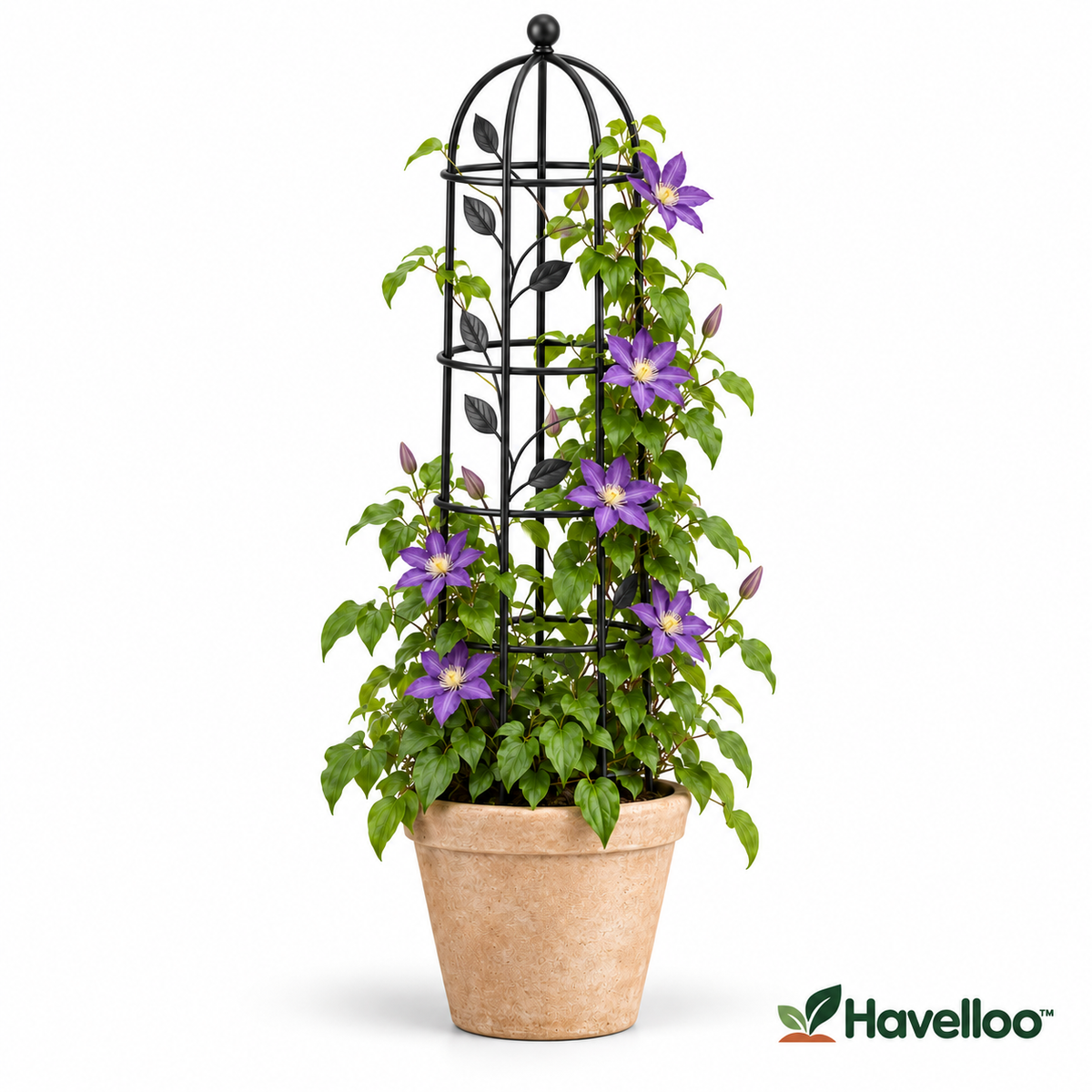 🌹 Havelloo™ Obelisk Garden Trellis for Climbing Plants, Vines & Roses
