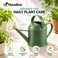 🪴 Havelloo™ Sage Green Metal Watering Can with Long Spout & Brass Shower Rose
